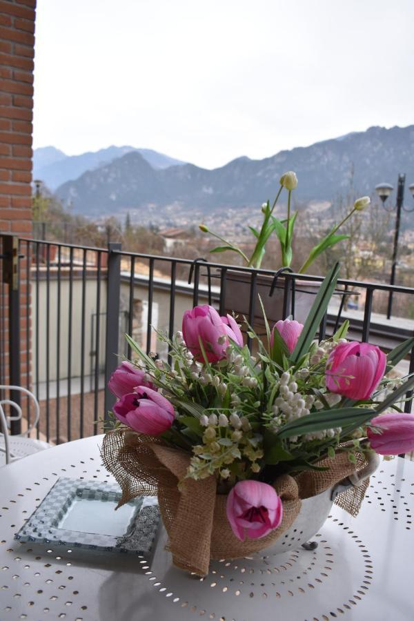 B&B Tulipano Crone Luaran gambar